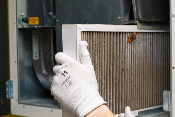Best Local Air Duct Cleaning Services  in South Burlington, VT